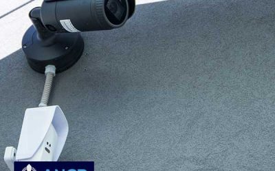 VIGILANZA ELETTRONICA